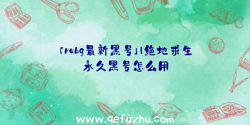 「pubg最新黑号」|绝地求生永久黑号怎么用